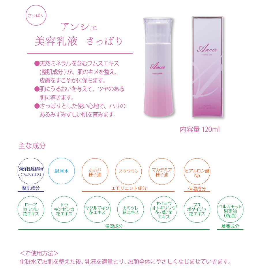 アンシェＨＰ２_06