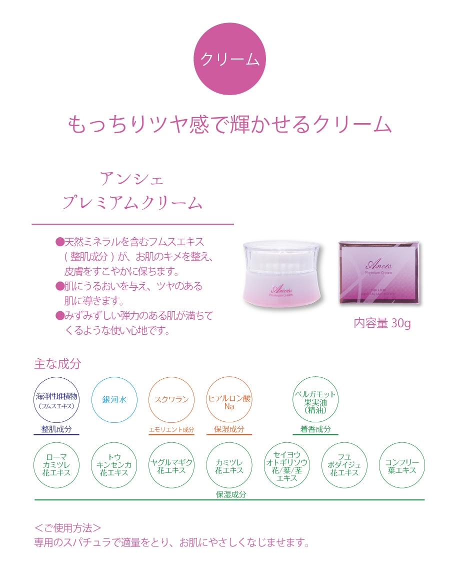 アンシェＨＰ２_08